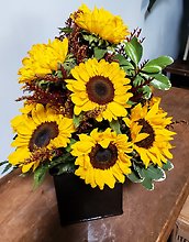 Soaring Sunflowers