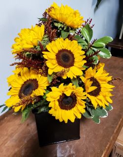 Soaring Sunflowers