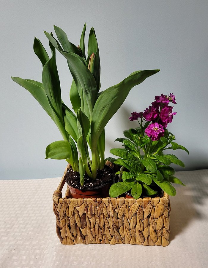 Spring Flower Basket