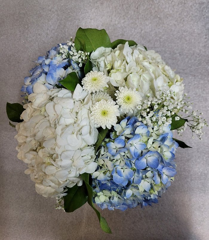 Hydrangea Mason Jar