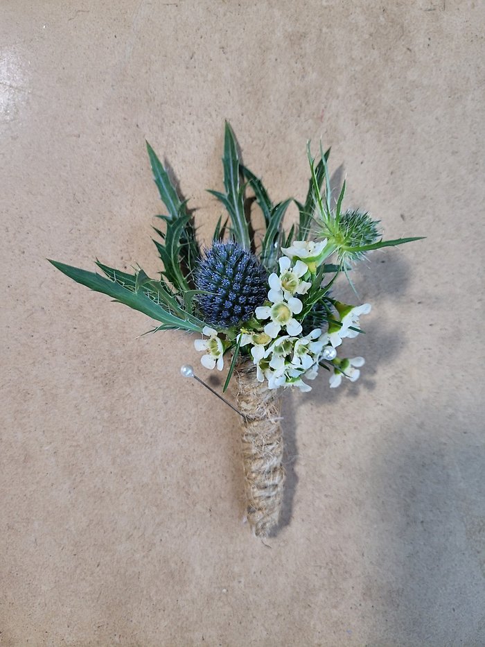 Eryngium Boutonniere