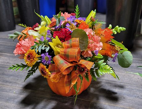 Thanksgiving Pumpkin