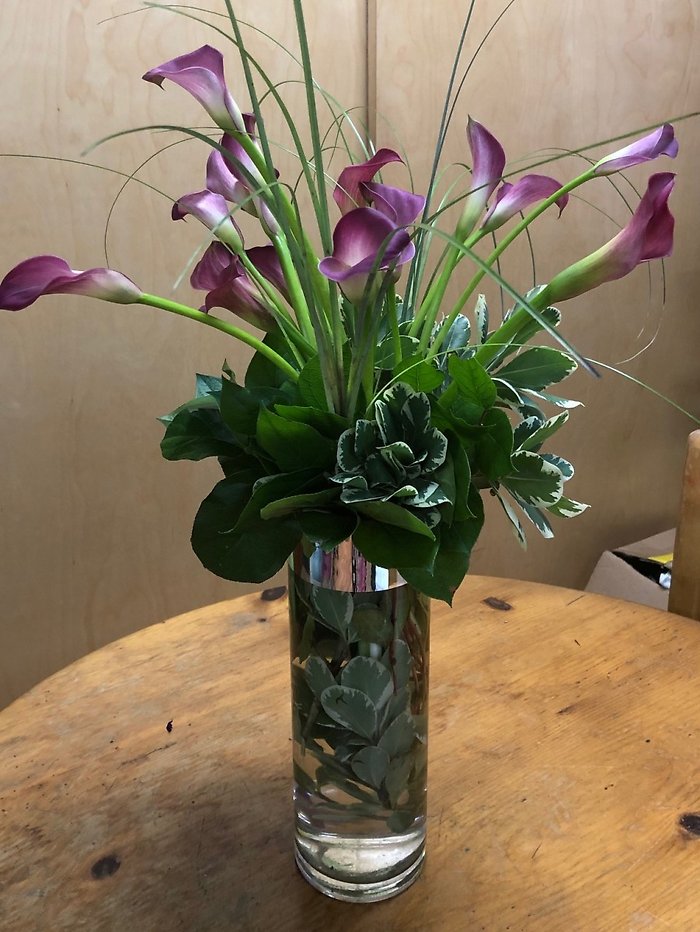 Luxurious Calla Lilies