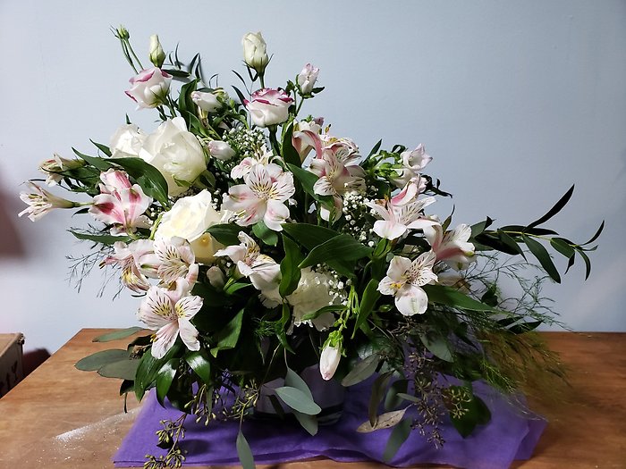 Alstroemeria Occasion