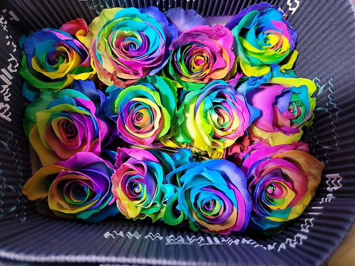 Rainbow Roses- Vase