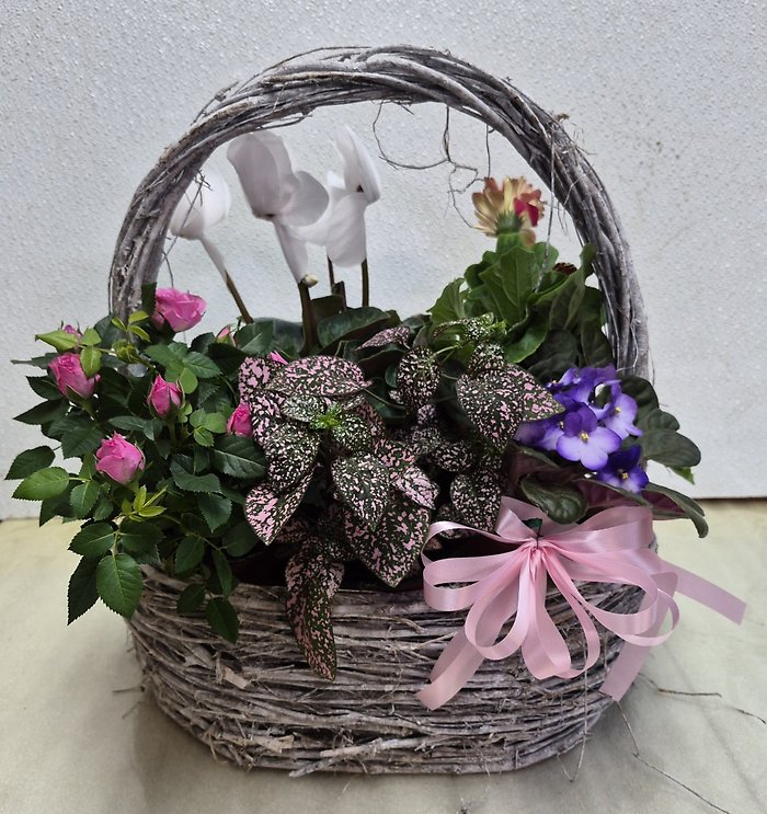 Small Plant Basket