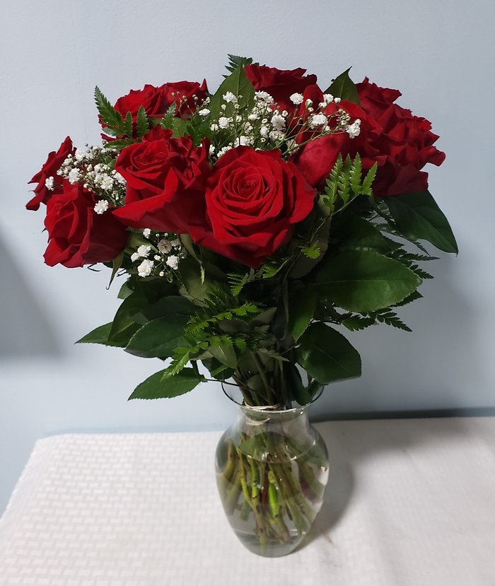 1 Dozen Red Roses- Vase